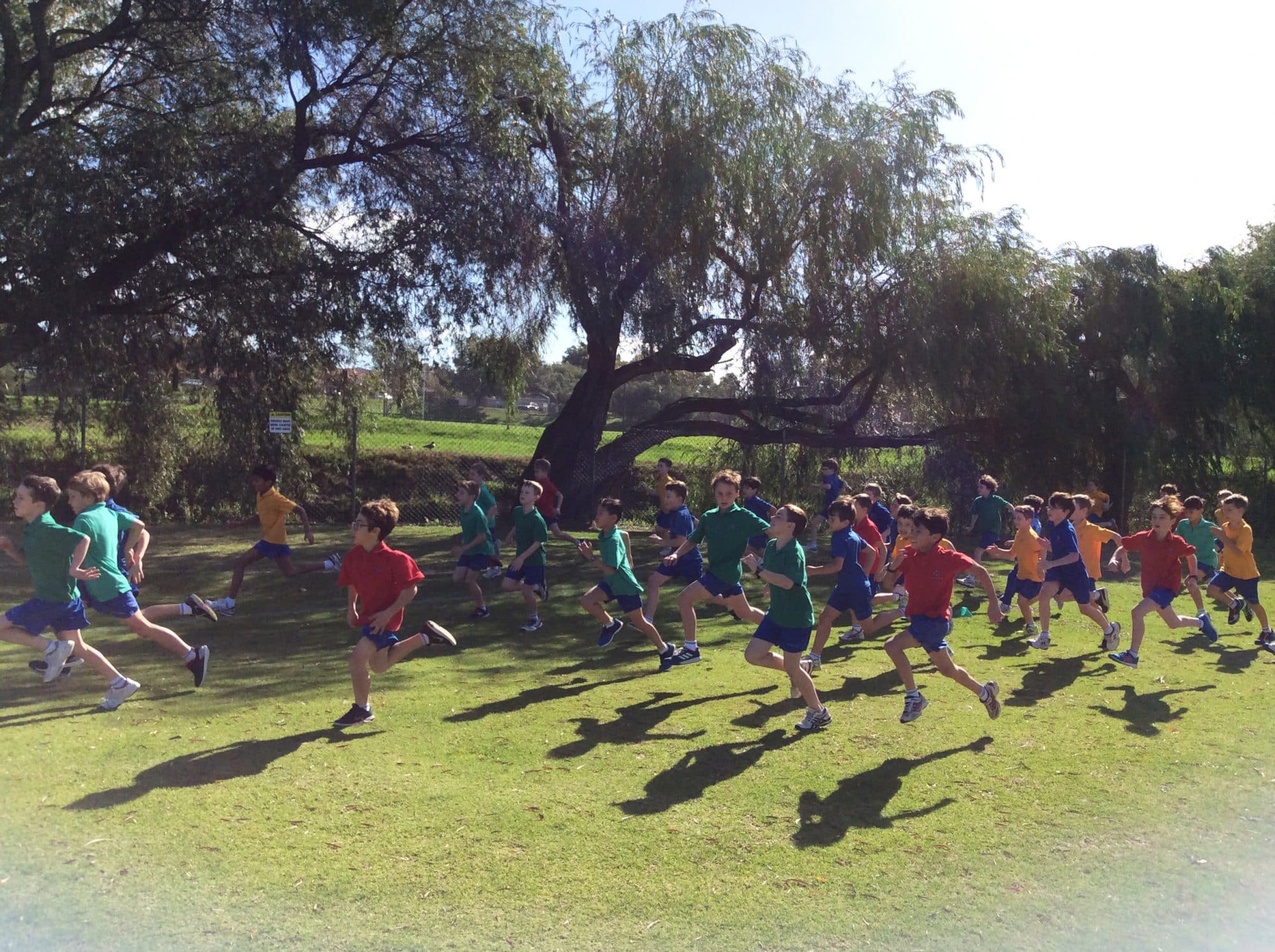 IPSHA Cross Country Carnival Newman College