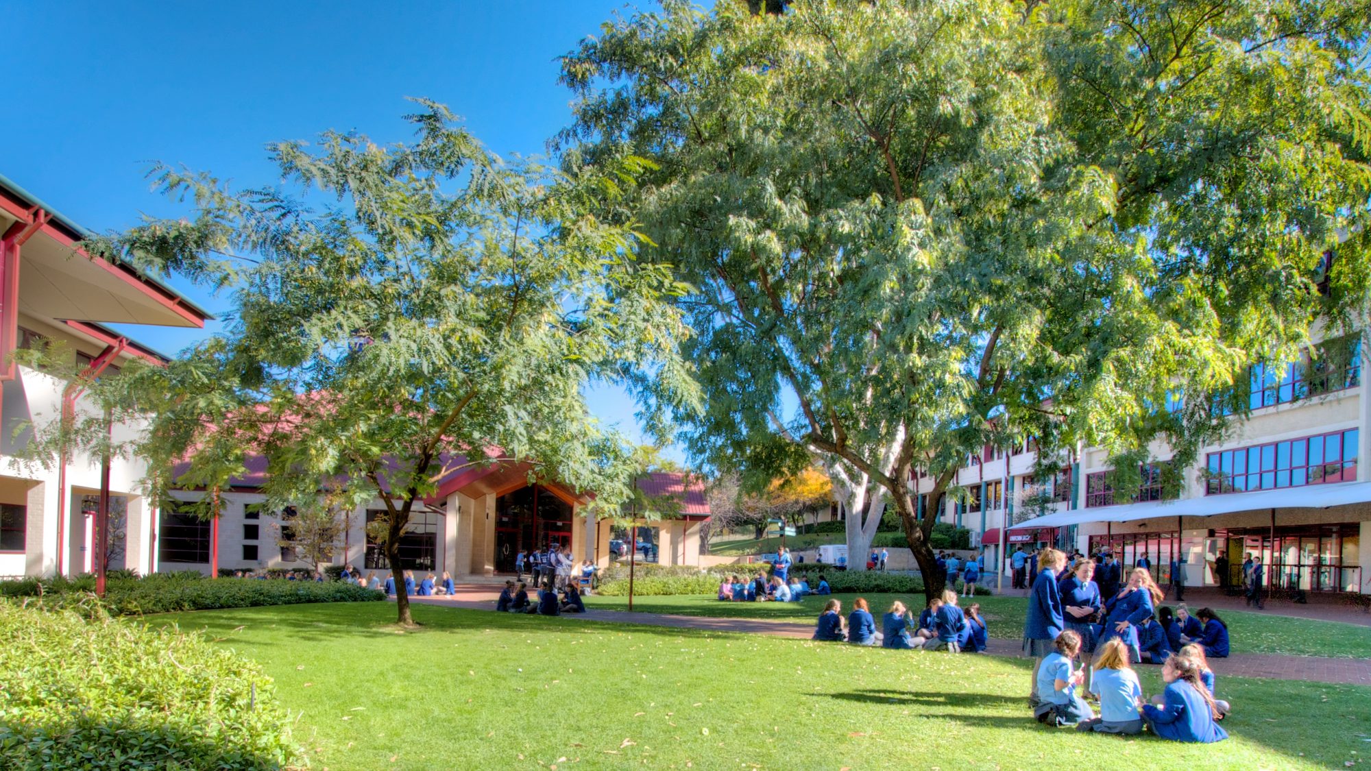College Maps Newman College college-maps-newman-college