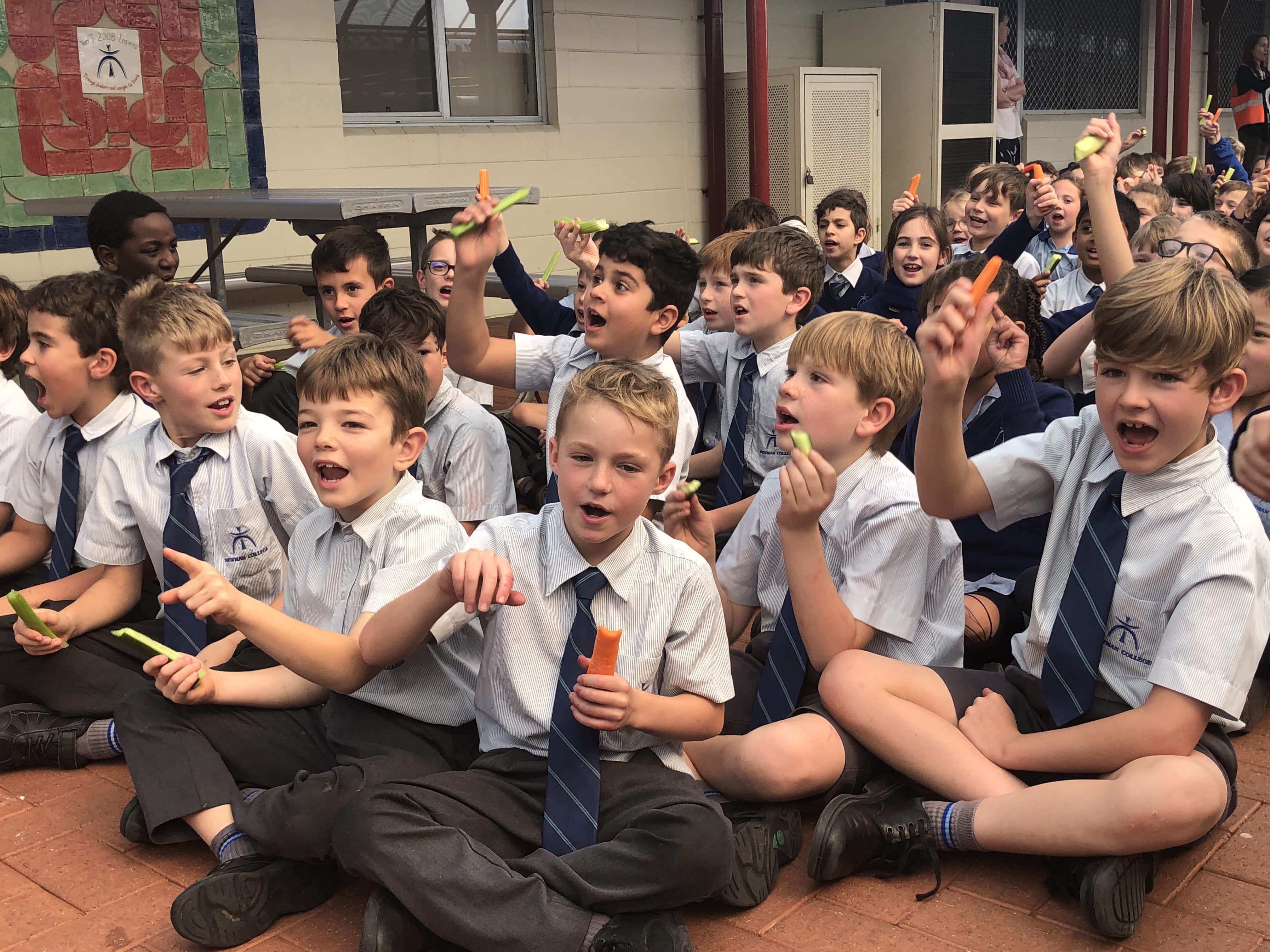 Newman News Term 3 Week 6: From the Leader of Wellbeing Primary