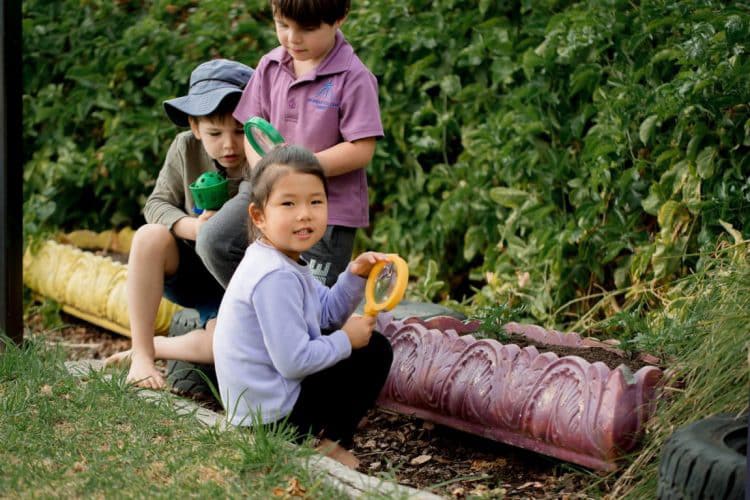 Enrolling in Kindergarten Newman College Children Exploring Nature Play