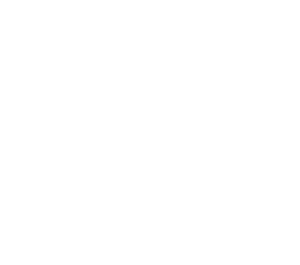 shine through discovery